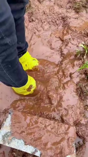 ☔ ዝናብ ወይም ጭቃ ጫማዎን እንዳያበላሽ? 👟 💧 100% Waterproof Silicone Shoe Cover ✔️ ውሃን ይከላከላል ✔️ ጭቃን ይከላከላል ✔️ ቀላል ለመልበስ ✔️ እንደገና የሚጠቀምበት ክረምቱን ሳትጨነቁ በደረቅ ጫማ ይጓዙ! 🌧️✨ 📩 Order ለማድረግ DM ያድርጉ። #TikTokMadeMeBuyIt #RainySeason #Waterproof #ShoeCover #Ethiopia