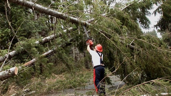 Ax Men Season 1 Episode 11 Storm of the Century