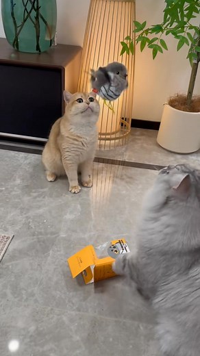 🐱Meet the Flappy Bird Cat Toy — playful wings flap, vibrant colors mesmerize, and your kitty becomes the star of the chase! With automatic motion, feather-teased fun, and durable build for non-stop entertainment, it’s the perfect way to spark activity, curiosity, and joy. 🕹️❤️ #CatFun #InteractiveToy #HappyKitty | DC.McHenry