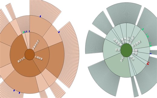 nvivo三天写论文！可视化操作实战