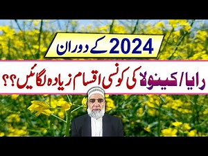 Which are best varieties of Raya / Canola for cultivation in 2024 || Crop Reformer