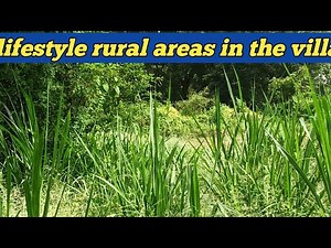 What's it like Living in RURAL areas of a village?