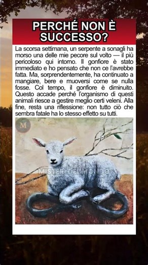 Non tutto è come sembra