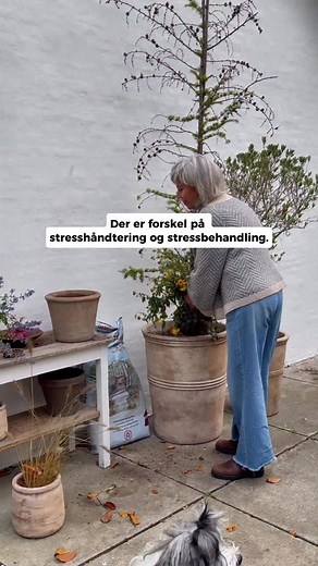 Der er forskel på stresshåndtering og stressbehandling. Håndtering er pauser, mindfulness, natur, motion. Det hjælper – for en stund. Men hvis dine gamle mønstre stadig styrer dig, så ryger du tilbage i stress. Behandling er at kigge bag om symptomerne. At ændre det, der fik dig ud i stress til at begynde med. → Det er først dér, du kan slippe helt fri. Husk at følg med på min profil, for mere indhold som dette💚🌱 | Stresslæge.dk - Aldrig mere stress igen