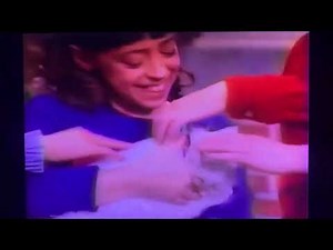 Barney & Friends Season 3 Ep 15 Camera Safari I Love Little Kitty