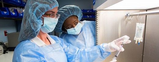 Honors Programs | Undergraduate Admissions | Binghamton University