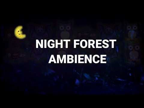 Deep Dark Forest Night 🌙 Relaxing Nature Sounds for Deep Sleep