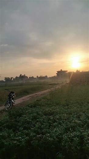 Dil Jala (@badshamalnge)’s videos with original sound - Sajid Ali Official