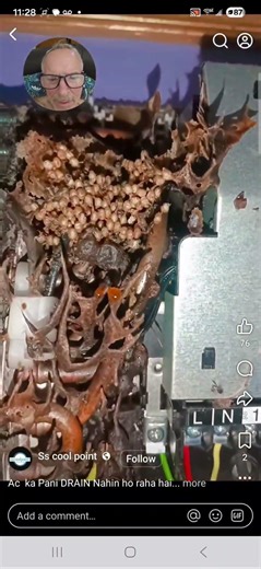 IDU mini-split bug and critter takeover keep your systems clean