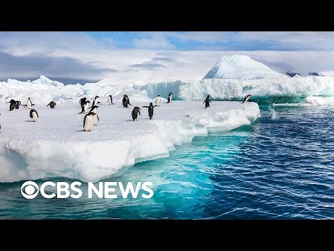 Experts warn abrupt Antarctic climate shifts could lead to "catastrophic consequences"