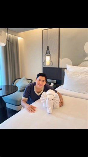 Amazing Towel Art Inspired by Elephants