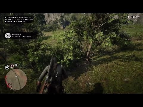 RDR2 4 Berry Locations for Herbalist Challenge ( Red Dead redemption 2 )