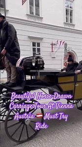 Beautiful Horse Drawn Carriage Tour | Must Try Ride At Vienna Austria 🇦🇹