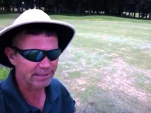 MiniVerde ultra dwarf bermudagrass grow in