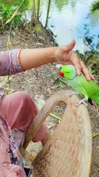 My beautiful cutipie#######