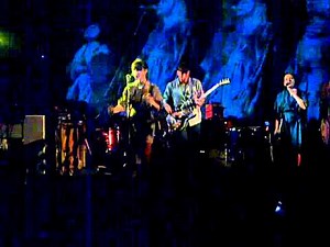 Sea lion woman (Nina Simone Cover) (Live Mexico City, 2011) | Feist