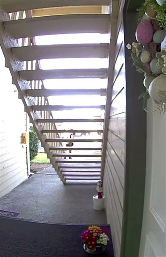 UPS Home Delivery Driver Caught on By Hidden Camera ASMR [USA]