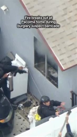 🔥SWAT TRYING TO FIGHT FIRE🔥 @cbsla A fire broke out at a Pacoima home during a burglary suspect barricade on Thursday morning. Aerial footage showed SWAT teams trying to enter the home from the side when flames ignited. It is unclear how the fire started. Shortly before 8 a.m., authorities entered the home and took the suspect into custody. @bayareafirefighter | Chief Miller