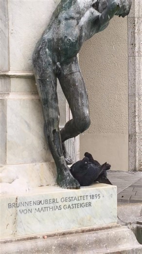 There's something different about German pigeons, they seem to be more into enjoying seeing the sights and sounds than just pooping everywhere 😂 | Older Kiwi Travellers