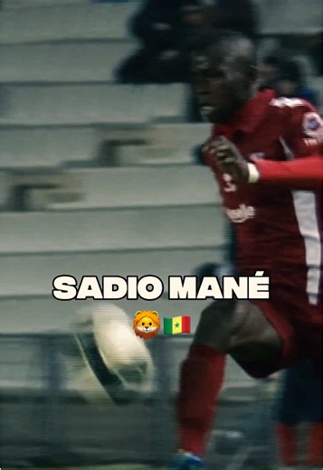 Les Lions de la Téranga prêts pour la Coupe du Monde