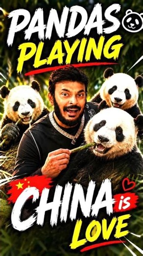 PANDAS Playing in China 🐼🇨🇳 #pandas #china #ravitelugutraveller