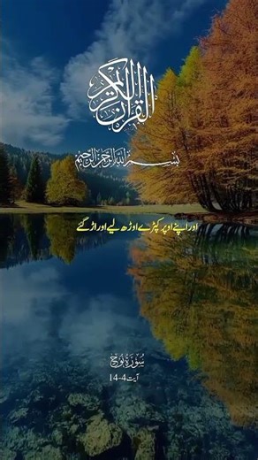surah Noah beautiful voice translation #foryou #quran #telawatequran #translation #trendingshorts