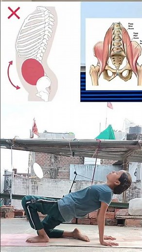 Pelvic Tilt? Try These 3 Exercises#PelvicTilt #PostureCorrection #Mobility