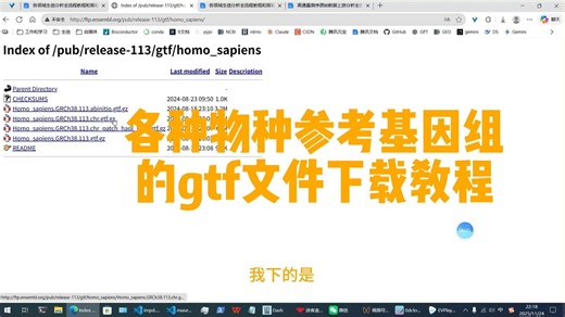 各种物种参考基因组的gtf文件下载教程教程，代做各领域生信分析和辅导
