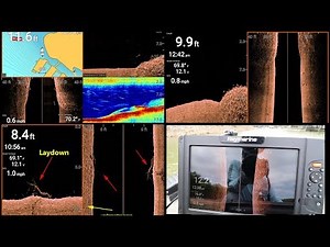 First look on the water with the Raymarine Element