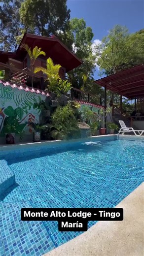 Descubre Monte Alto Lodge y su Piscina en la Selva