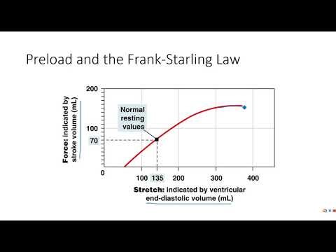 PE 381 - Lecture 8-2-2 - Stroke volume