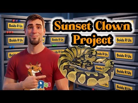 2025 Clutch #36 - “Sunset Clown Project” Egg Cutting- Breeding Ball Pythons #ballpython #reptiles