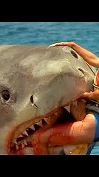 worlds most gruesome animal attacks!!.. warning very graphic!!