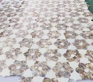 [Hot Item] River Shell Mix with Blacklip Mop in Square Pattern, Bathroom Tile, Back Splash Mosaic Tile