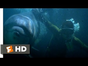 Jaws 3-D (2/9) Movie CLIP - Rescued by Dolphins (1983) HD