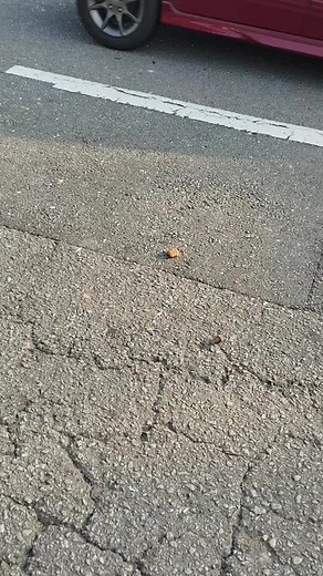 Traffic Accident Aftermath: Exploring Highway Safety Issues