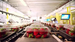 29K views · 220 reactions | Americans are throwing away a whopping 40% of food—a problem that costs the average family $1,500+ a year. We’re so excited to partner with NRDC (Natural Resources Defense Council) to Save the Food. Visit www.savethefood.com to help us end food waste. | Ad Council | Facebook