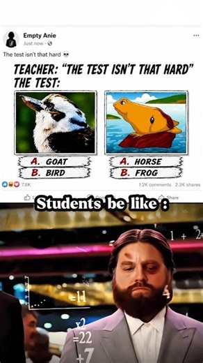 #catmemes 💀