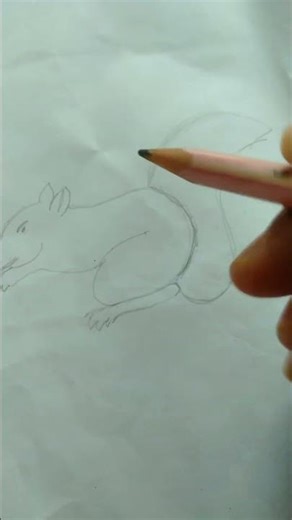 Squirrel Drawing