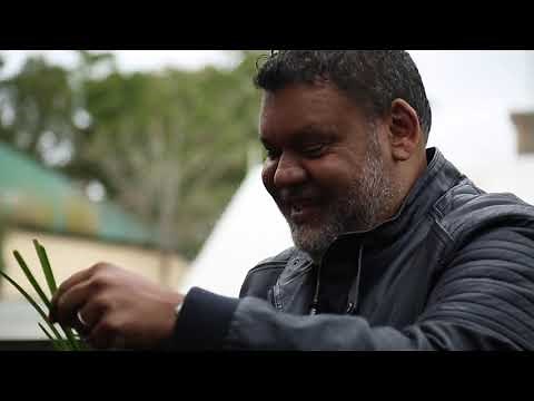 Learn about how Aboriginal People use Native Plants