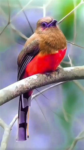 Explore Wildlife: Nature Lovers Unite