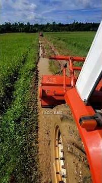 #shorts 167 _ 🌾👨‍🌾🚜 go to work in the new field