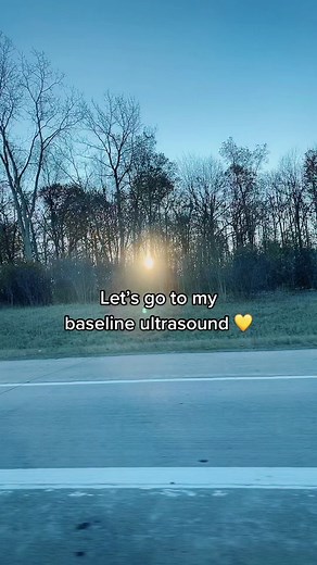 Baseline ultrasound 💛 #ivf #ivfmichigan #ivfstory #ivfwarrior #ivfjourney #ivfsupport #ultrasound #infertility #ttc