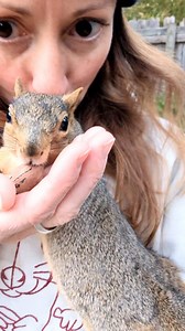 Tell me you love squirrels without telling me 💜🐿️ I think Sarah Connor approves of her sweatshirt 🥰 #sarahconnorsquirrel #animalvideos #squirrels #naturelovers #humananimalbond | Erica Vetra