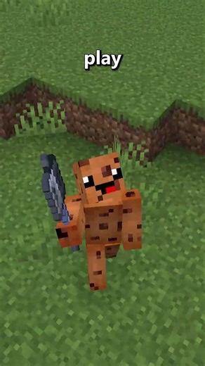 Biggest Downside To Switching Versions…