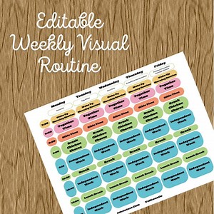 EDITABLE Homeschool Daily Schedule for Kids – Hourly Visual Routine Chart – Printable Daily Planner - Etsy Australia