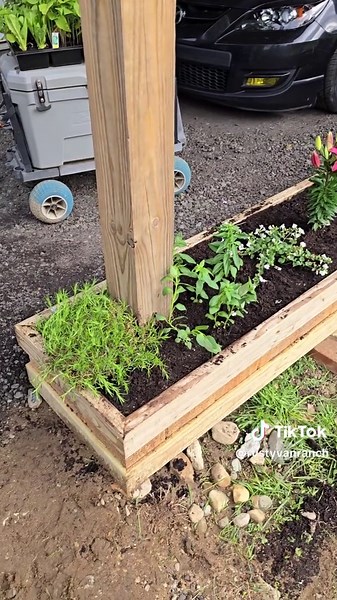 Flower Shopping Adventures with Rusty and Kylie