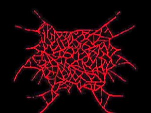 Whore Torture- Forced To Swallow