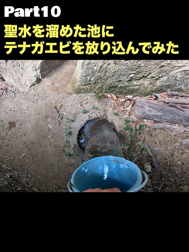 井戸掘りとテナガエビの生け簀作り