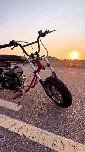 Custom Doodle Bug Mini Bike Showcase